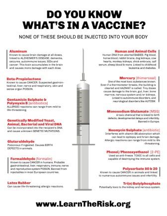 Do you know what is in a Vaccine?, page 1