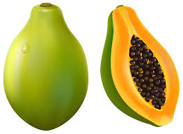 Papaya fruit